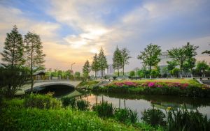 北京高考多少分能考上上海交通大學(xué),？附2022-2024年院校最低投檔線