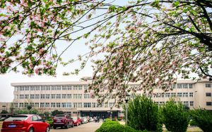 青海高考多少分能上華北電力大學(xué)保定校區(qū),？附2022-2024年最低錄取分?jǐn)?shù)線