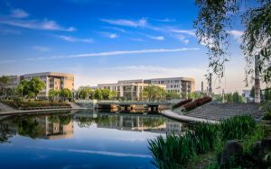 重慶高考多少分能上北京語言大學(xué),？附2022-2024年院校投檔線