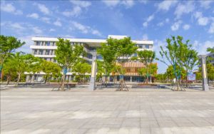 浙江高考多少分報考哈爾濱醫(yī)科大學,？2024年綜合錄取分539分