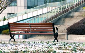 福建高考531分左右的可以報考的本科大學(xué)名單?。ǜ綆Ы旮呖即髮W(xué)錄取名單）
