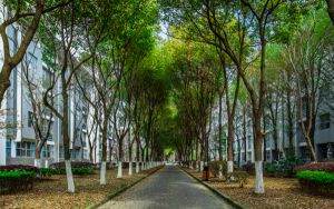 廣西高考多少分能錄取內(nèi)蒙古師范大學(xué)？附2022-2024年最低錄取分?jǐn)?shù)線