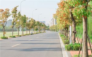 甘肅高考439分左右報考的的大學(xué)有哪些,？ 2024年有52所錄取最低分439的大學(xué)