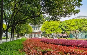 天津高考多少分能上黑龍江大學,？附2022-2024年院校最低投檔線