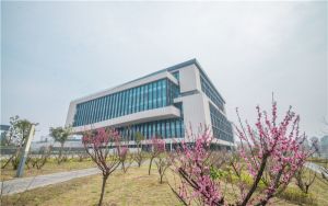 江西高考多少分報考金陵科技學(xué)院,？附2022-2024年最低錄取分?jǐn)?shù)線