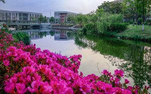 北京高考多少分報考南京航空航天大學(xué)金城學(xué)院？附2022-2024年最低錄取分?jǐn)?shù)線