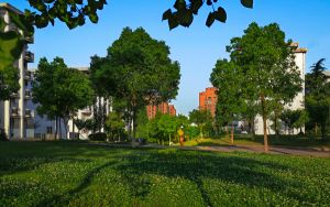 甘肅高考多少分能上上海第二工業(yè)大學,？附2022-2024年最低錄取分數(shù)線