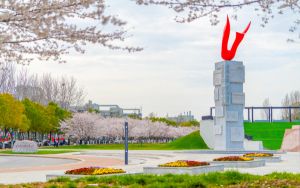 重慶高考多少分能考上云南工商學院,？附2022-2024年最低錄取分數(shù)線