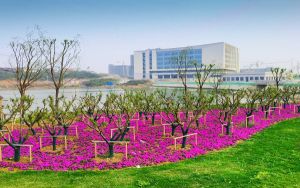 山東高考多少分能考上福建醫(yī)科大學(xué),？附2022-2024年最低錄取分?jǐn)?shù)線