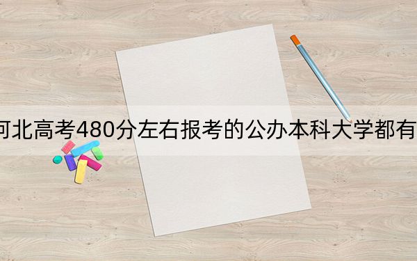 河北高考480分左右報(bào)考的公辦本科大學(xué)都有哪些? 2024年高考有13所最低分在480左右的大學(xué)