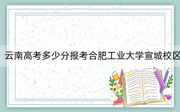 云南高考多少分報考合肥工業(yè)大學(xué)宣城校區(qū),？2024年文科錄取分555分 理科最低580分