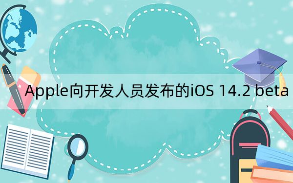 Apple向開(kāi)發(fā)人員發(fā)布的iOS 14.2 beta 1更新