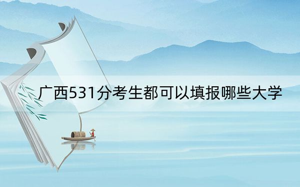 廣西531分考生都可以填報哪些大學(xué),？（供2025屆高三考生參考）