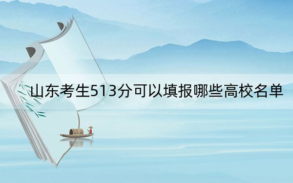 山東考生513分可以填報(bào)哪些高校名單? 2024年錄取最低分513的大學(xué)