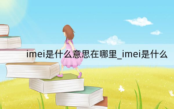 imei是什么意思在哪里_imei是什么