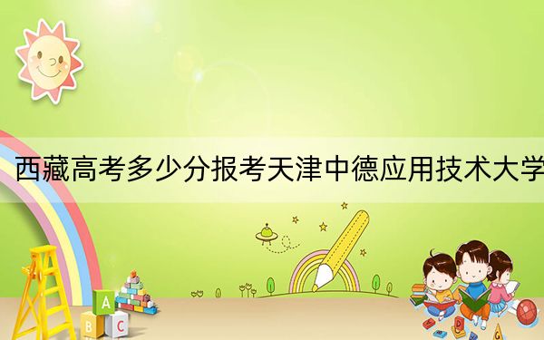 西藏高考多少分報(bào)考天津中德應(yīng)用技術(shù)大學(xué),？2024年錄取分分