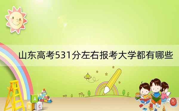 山東高考531分左右報(bào)考大學(xué)都有哪些,? 2024年錄取最低分531的大學(xué)