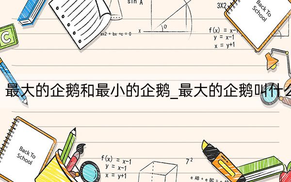 最大的企鵝和最小的企鵝_最大的企鵝叫什么