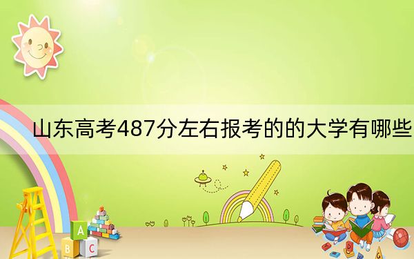 山東高考487分左右報考的的大學有哪些,？ 2024年有30所錄取最低分487的大學