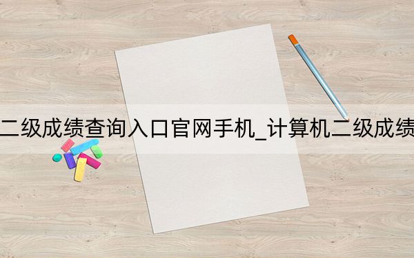 計(jì)算機(jī)二級成績查詢?nèi)肟诠倬W(wǎng)手機(jī)_計(jì)算機(jī)二級成績查詢?nèi)肟? width=