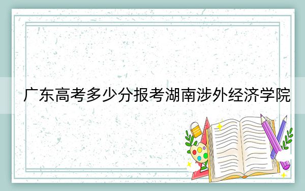 廣東高考多少分報考湖南涉外經(jīng)濟學院,？附2022-2024年院校最低投檔線