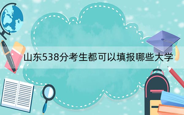 山東538分考生都可以填報哪些大學,? 2025年高考可以填報9所大學