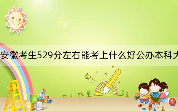 安徽考生529分左右能考上什么好公辦本科大學(xué),?(附帶近三年529分大學(xué)錄取名單)