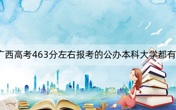 廣西高考463分左右報考的公辦本科大學都有哪些？（供2025年考生參考）