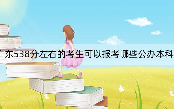 廣東538分左右的考生可以報考哪些公辦本科大學(xué),？