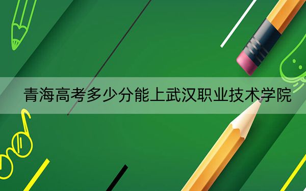 青海高考多少分能上武漢職業(yè)技術(shù)學院,?2024年文科投檔線362分 理科最低323分