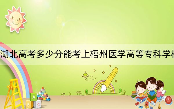 湖北高考多少分能考上梧州醫(yī)學(xué)高等?？茖W(xué)校,？附2022-2024年最低錄取分?jǐn)?shù)線