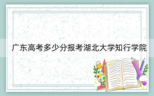 廣東高考多少分報(bào)考湖北大學(xué)知行學(xué)院？2024年歷史類486分 物理類投檔線490分