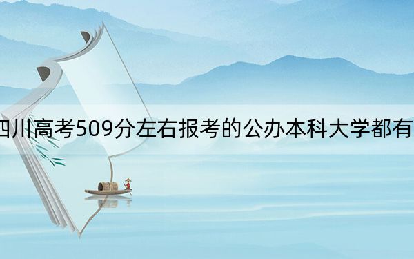 四川高考509分左右報(bào)考的公辦本科大學(xué)都有哪些,？ 2025年高考可以填報(bào)70所大學(xué)