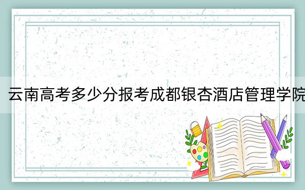 云南高考多少分報考成都銀杏酒店管理學院,？2024年文科最低495分 理科錄取分429分