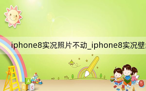 iphone8實況照片不動_iphone8實況壁紙不動