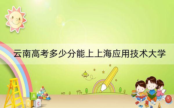 云南高考多少分能上上海應(yīng)用技術(shù)大學(xué)？附2022-2024年最低錄取分?jǐn)?shù)線