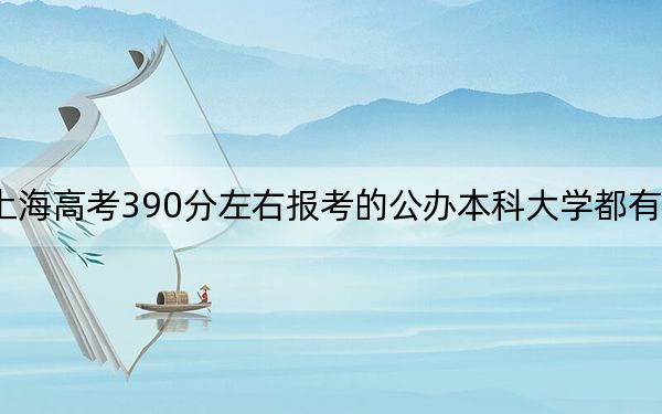 上海高考390分左右報(bào)考的公辦本科大學(xué)都有哪些,？（附帶近三年高考大學(xué)錄取名單）