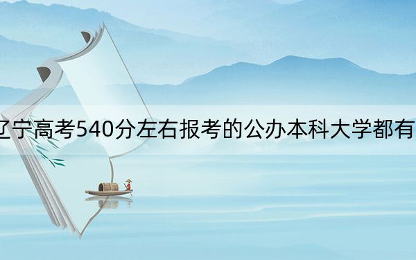 遼寧高考540分左右報(bào)考的公辦本科大學(xué)都有哪些,？（附帶2022-2024年540左右大學(xué)名單）