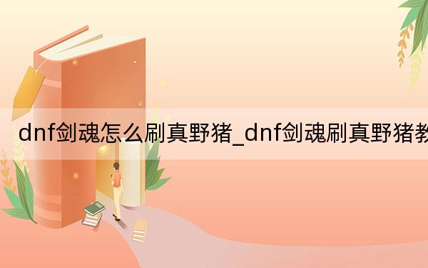 dnf劍魂怎么刷真野豬_dnf劍魂刷真野豬教學(xué)