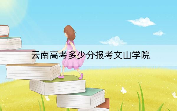 云南高考多少分報(bào)考文山學(xué)院,？附2022-2024年最低錄取分?jǐn)?shù)線