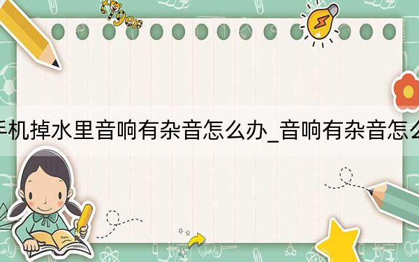 手機(jī)掉水里音響有雜音怎么辦_音響有雜音怎么辦