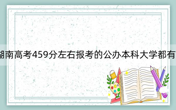 湖南高考459分左右報(bào)考的公辦本科大學(xué)都有哪些,?(供2025屆高三考生參考)