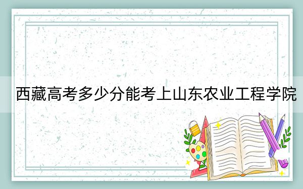 西藏高考多少分能考上山東農(nóng)業(yè)工程學院,？2024年投檔線分