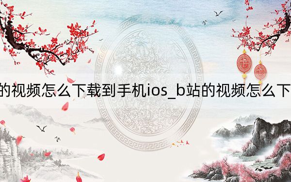 b站的視頻怎么下載到手機(jī)ios_b站的視頻怎么下載到手機(jī)