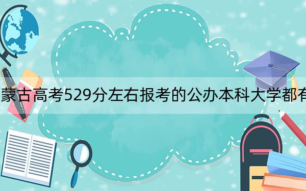 內(nèi)蒙古高考529分左右報(bào)考的公辦本科大學(xué)都有哪些,? 2025年高考可以填報(bào)10所大學(xué)