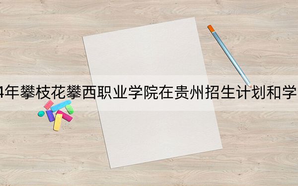 2024年攀枝花攀西職業(yè)學院在貴州招生計劃和學費是多少,?錄取分數(shù)線是多少,?