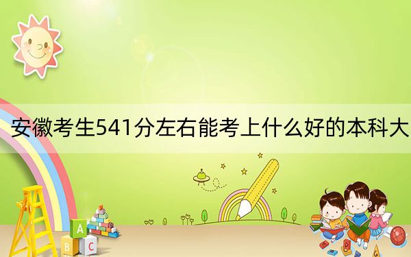 安徽考生541分左右能考上什么好的本科大學(xué),？ 2024年一共錄取61所大學(xué)