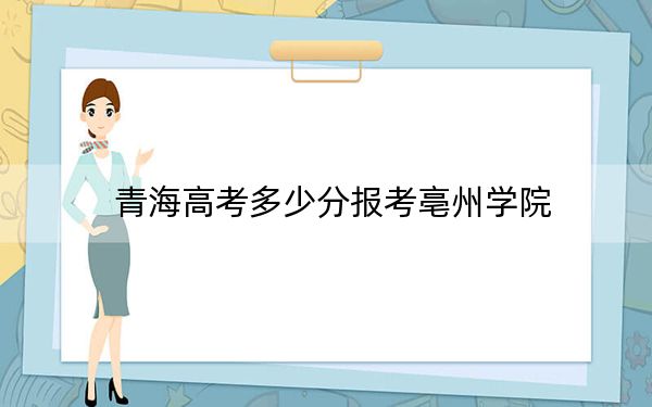 青海高考多少分報(bào)考亳州學(xué)院?附2022-2024年最低錄取分?jǐn)?shù)線