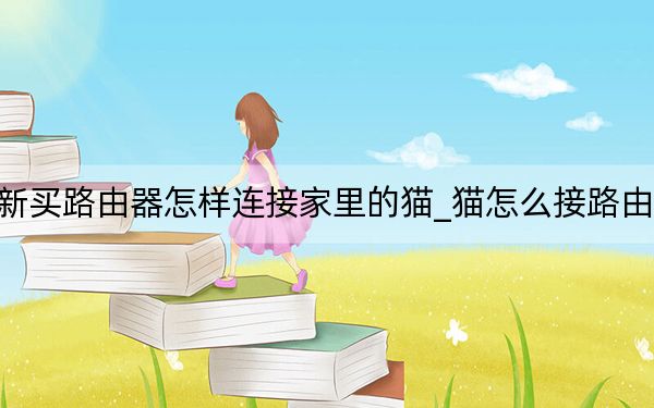 新買路由器怎樣連接家里的貓_貓?jiān)趺唇勇酚善? width=