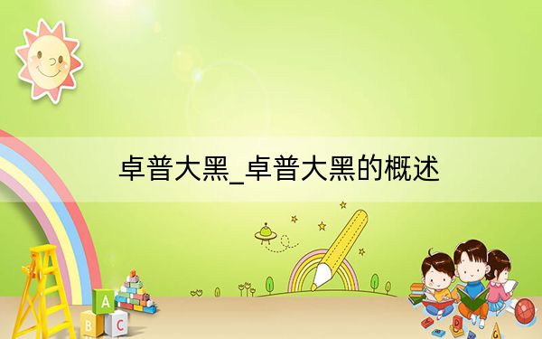 卓普大黑_卓普大黑的概述